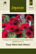 Hængepetunia F1 'Easy Wave Red Velour'