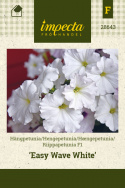 Hængepetunia F1 'Easy Wave White'