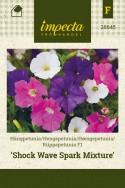 Hængepetunia F1 'Shock Wave Spark Mixture'
