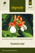 Pralbønne 'Painted Lady'