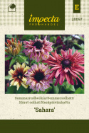 Håret solhat 'Sahara'
