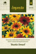Håret solhat 'Rustic Dwarf'