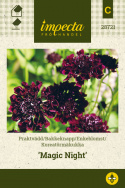 Enkeblomst 'Magic Night'