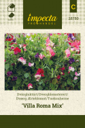 Dværg Ærteblomst 'Villa Roma Mix'