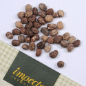Tallerkensmækker 'Jewel Of Africa'