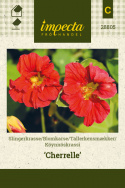 Tallerkensmækker 'Cherelle'
