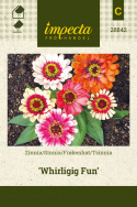 Frøkenhat 'Whirligig Fun'