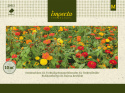 Sommerblomster XL Tørketålende