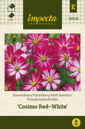 Stolt kavaler 'Cosimo Red-White'