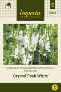 Drejeblomst 'Crystal Peak White'