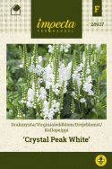 Drejeblomst 'Crystal Peak White'