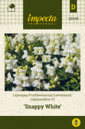 Løvemund F1 'Snappy White'