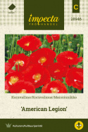 Kornvalmue 'American Legion'
