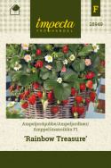 Ampeljordbær F1 'Rainbow Treasure'