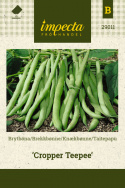 Knækbønne 'Cropper Teepee'