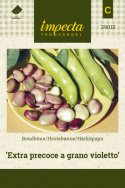 Hestebønne 'Extra precoce a grano violetto'