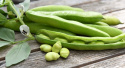 Hestebønne 'Superaguadulce'