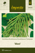 Knækbønne 'Maxi'