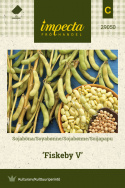 Sojabønne 'Fiskeby V'
