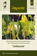 Stor voksbønne 'Goldmarie'