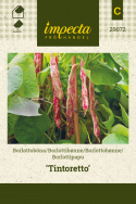 Borlottobønne 'Tintoretto'