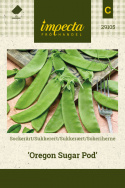 Sukkerærter 'Oregon Sugar Pod'