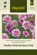 Stolt kavaler 'Double Click Bicolour Pink'