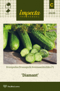 Drueagurk F1 'Diamond'