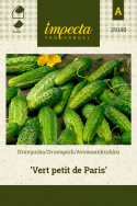 Drueagurk 'Vert petit de Paris'