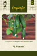 Drueagurk F1 'Gunnar'