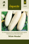 Hvid agurk 'White Wonder'