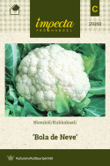 Blomkål 'Bola de Neve'