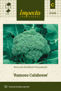 Broccoli 'Ramoso Calabrese'