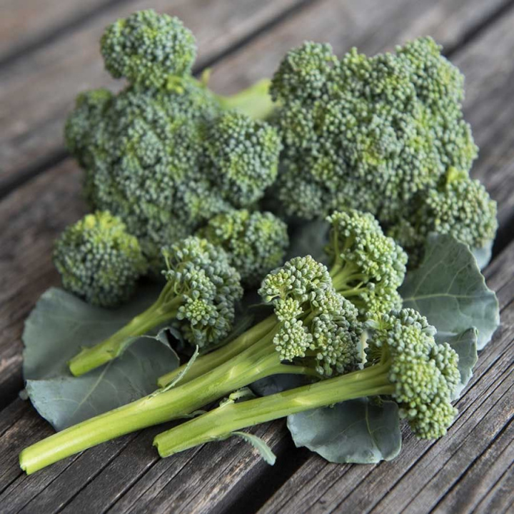 Broccoli F1 'Hirzia'