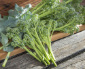 Broccoli F1 'Hirzia'