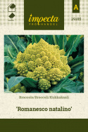 Broccoli 'Romanesco natalino'