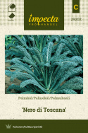 Palmekål 'Nero di Toscana'