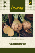 Kålroe 'Wilhelmsburger'