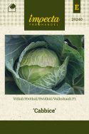 Hvidkål F1 'Cabbice'
