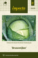 Hvidkål 'Brunswick'