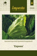 Spidskål 'Express'