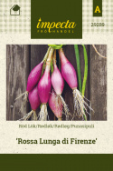 Rødløg 'Rossa Lunga di Firenze'