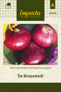 Rødløg 'De Brunswick'