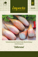 Skalotteløg 'Zébrune'