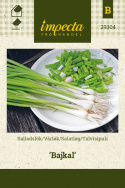 Salatløg 'Baikal'