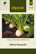 Majroe F1 'Natsu Komachi'