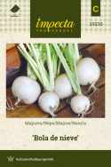 Majroe 'Bola de nieve'