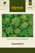 Rapini 'Quarantina'