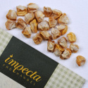 Sukkermajs F1 'Sweet Nugget'