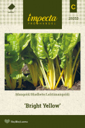 Mangold 'Bright Yellow'